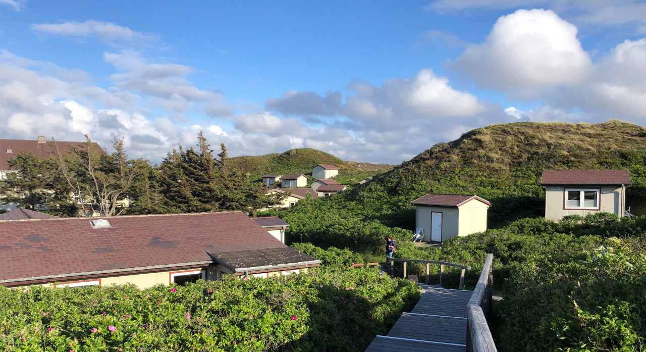 Ansicht auf die in der grünen Dünenlandschaft liegenden Bungalows